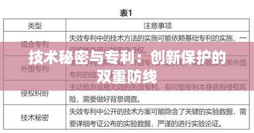 技术秘密与专利:创新保护的双重防线