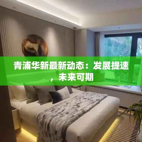 青浦华新最新动态:发展提速,未来可期