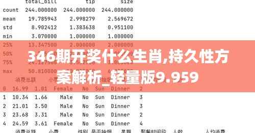 346期开奖什么生肖,持久性方案解析_轻量版9.959