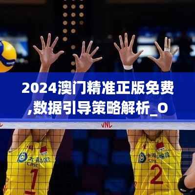 2024澳门精准正版免费,数据引导策略解析_OP7.612