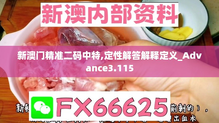 新澳门精准二码中特,定性解答解释定义_Advance3.115