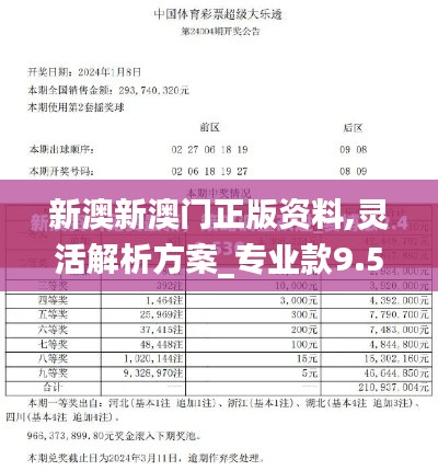 新澳新澳门正版资料,灵活解析方案_专业款9.594