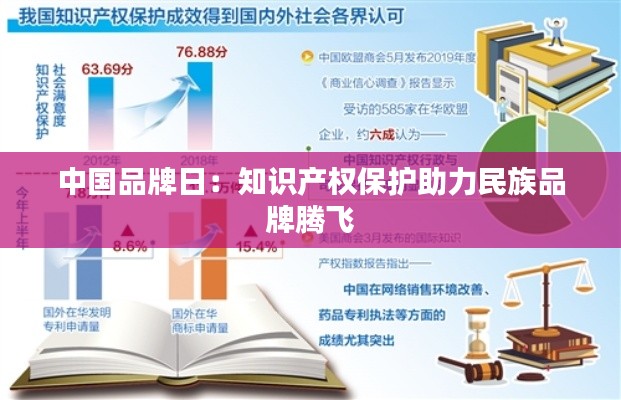 中国品牌日:知识产权保护助力民族品牌腾飞
