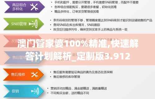 澳门管家婆100%精准,快速解答计划解析_定制版3.912