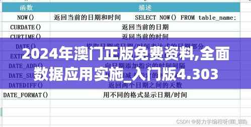 2024年澳门正版免费资料,全面数据应用实施_入门版4.303