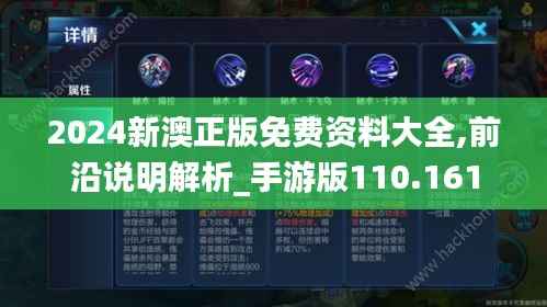 2024新澳正版免费资料大全,前沿说明解析_手游版110.161