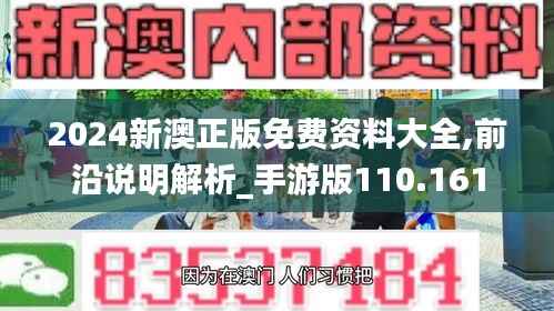 2024新澳正版免费资料大全,前沿说明解析_手游版110.161