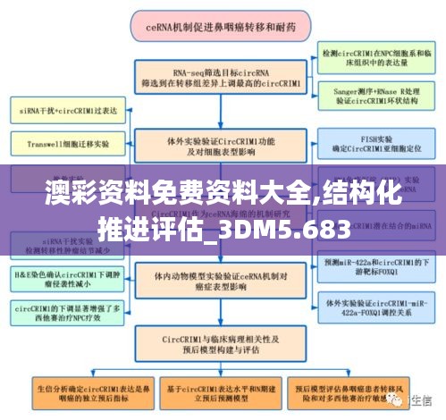 澳彩资料免费资料大全,结构化推进评估_3DM5.683