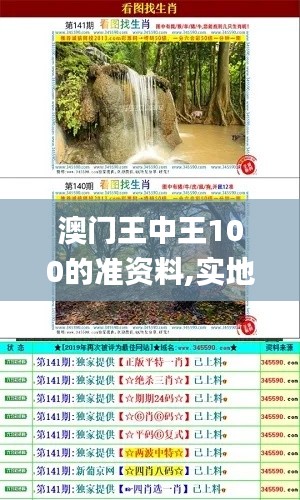 澳门王中王100的准资料,实地验证执行数据_特供版4.824