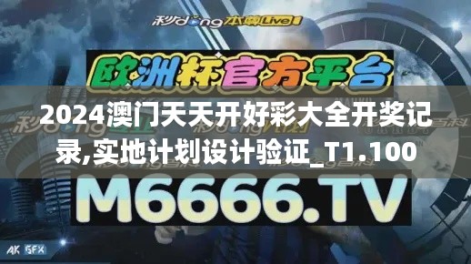 2024澳门天天开好彩大全开奖记录,实地计划设计验证_T1.100