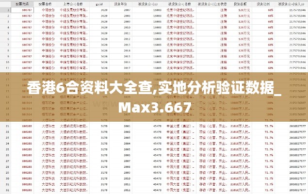 香港6合资料大全查,实地分析验证数据_Max3.667