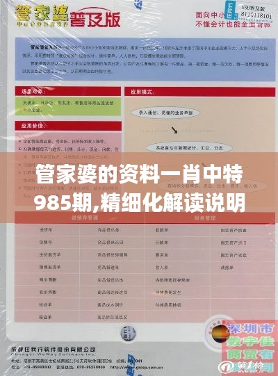 管家婆的资料一肖中特985期,精细化解读说明_精英款10.240