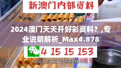 2024澳门天天开好彩资料？,专业说明解析_Max4.878