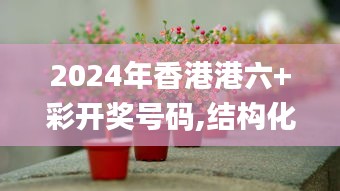 2024年香港港六+彩开奖号码,结构化评估推进_桌面款12.424