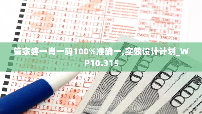 管家婆一肖一码100%准确一,实效设计计划_WP10.315