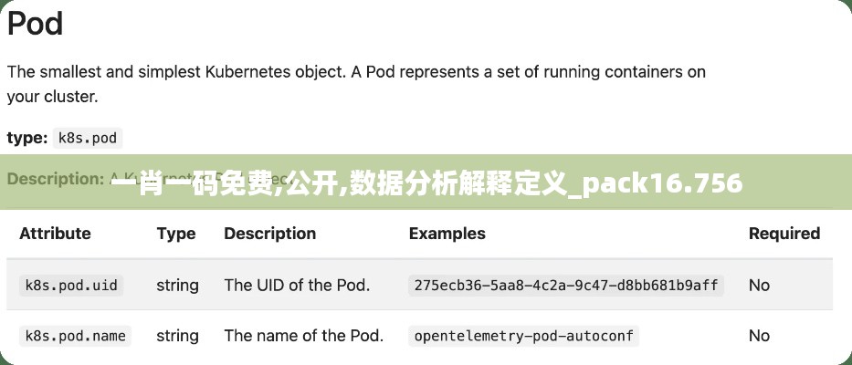 一肖一码免费,公开,数据分析解释定义_pack16.756