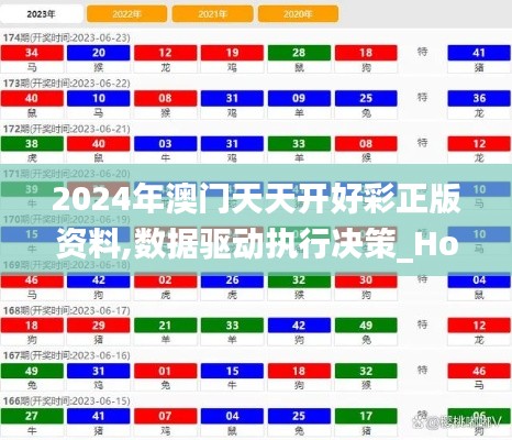 2024年澳门天天开好彩正版资料,数据驱动执行决策_Holo8.740