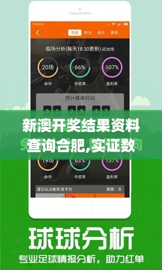 新澳开奖结果资料查询合肥,实证数据解析说明_桌面版4.210