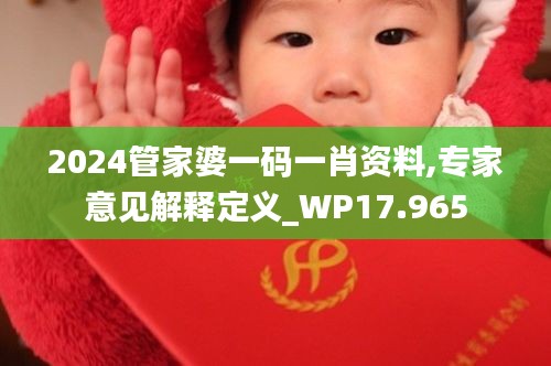 2024管家婆一码一肖资料,专家意见解释定义_WP17.965