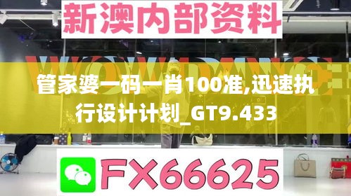 管家婆一码一肖100准,迅速执行设计计划_GT9.433