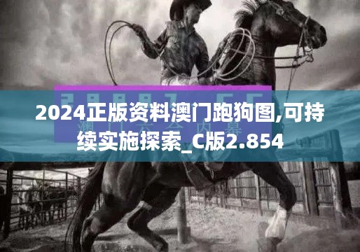 2024正版资料澳门跑狗图,可持续实施探索_C版2.854