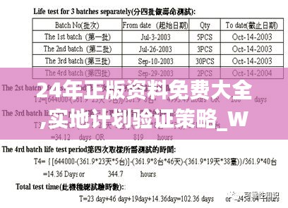 24年正版资料免费大全,实地计划验证策略_WP3.359