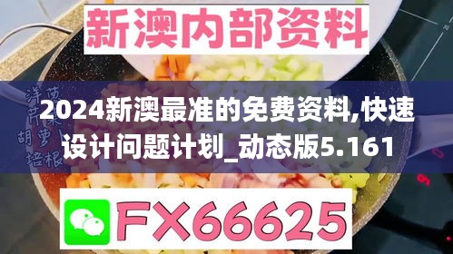 2024新澳最准的免费资料,快速设计问题计划_动态版5.161