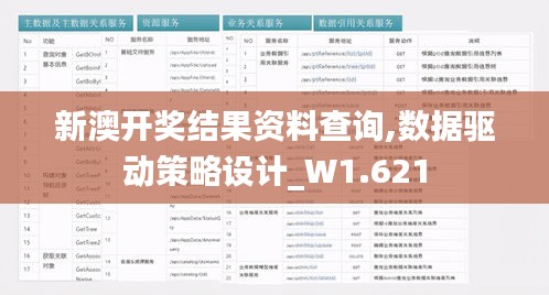 新澳开奖结果资料查询,数据驱动策略设计_W1.621