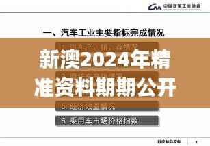新澳2024年精准资料期期公开不变,数据引导执行计划_Prime3.140