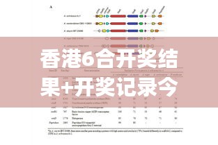 香港6合开奖结果+开奖记录今晚,科学研究解析说明_模拟版6.162