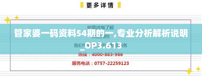 管家婆一码资料54期的一,专业分析解析说明_OP3.613