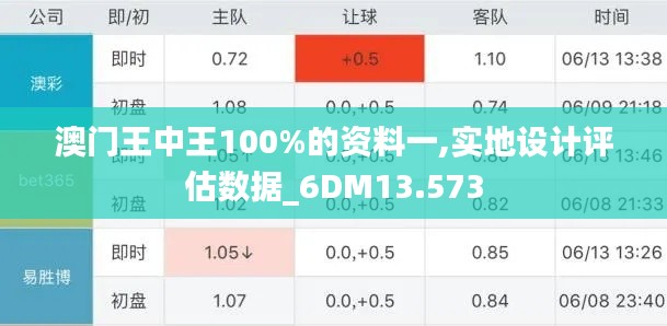 澳门王中王100%的资料一,实地设计评估数据_6DM13.573