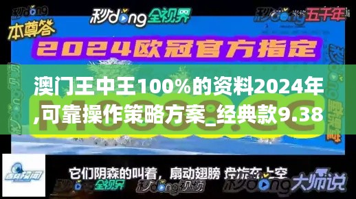 澳门王中王100%的资料2024年,可靠操作策略方案_经典款9.381