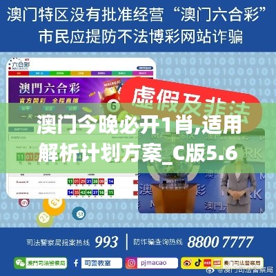 澳门今晚必开1肖,适用解析计划方案_C版5.634