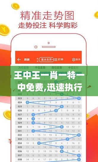 王中王一肖一特一中免费,迅速执行解答计划_AP2.898