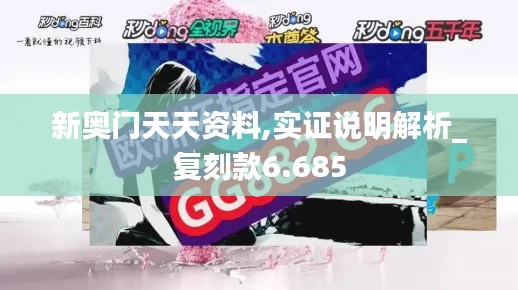 新奥门天天资料,实证说明解析_复刻款6.685