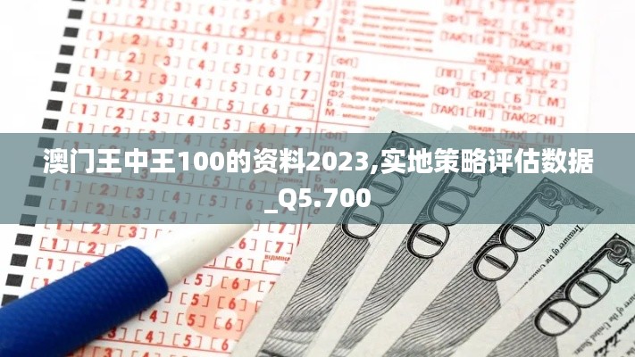 澳门王中王100的资料2023,实地策略评估数据_Q5.700