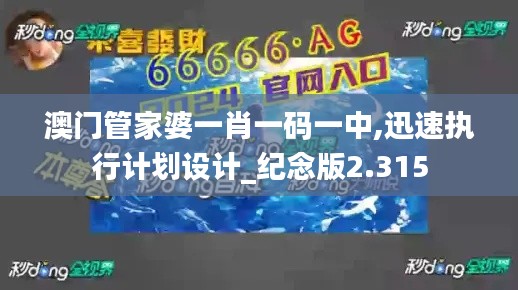 澳门管家婆一肖一码一中,迅速执行计划设计_纪念版2.315