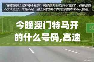 今晚澳门特马开的什么号码,高速响应方案规划_bundle1.621