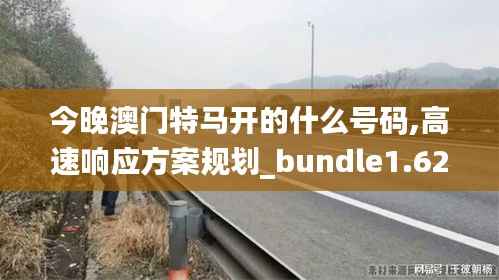 今晚澳门特马开的什么号码,高速响应方案规划_bundle1.621