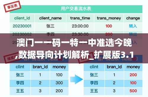 澳门一一码一特一中准选今晚,数据导向计划解析_扩展版3.132