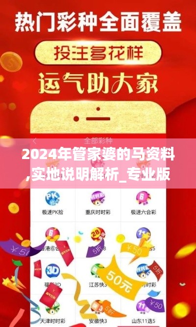 2024年管家婆的马资料,实地说明解析_专业版8.180