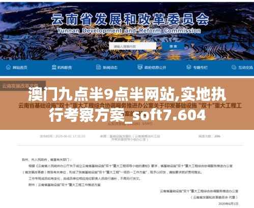 澳门九点半9点半网站,实地执行考察方案_soft7.604
