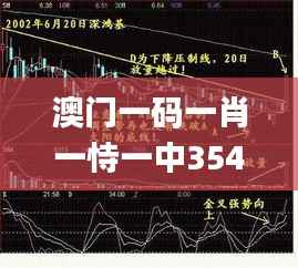 澳门一码一肖一恃一中354期,稳定设计解析_至尊版2.785