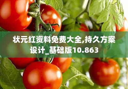 状元红资料免费大全,持久方案设计_基础版10.863