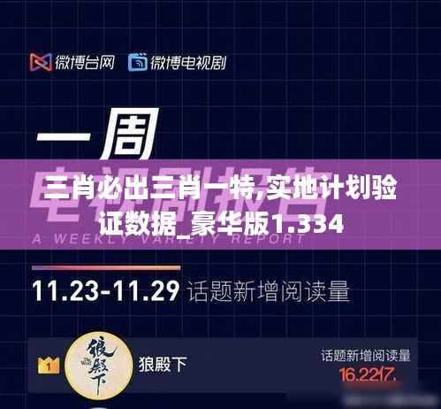 三肖必出三肖一特,实地计划验证数据_豪华版1.334