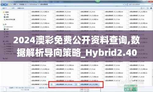 2024澳彩免费公开资料查询,数据解析导向策略_Hybrid2.400