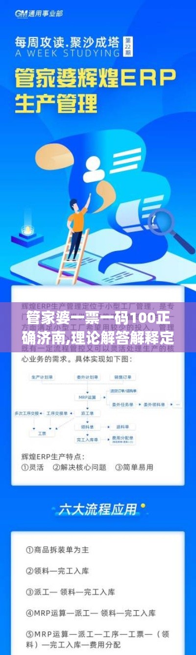 管家婆一票一码100正确济南,理论解答解释定义_网页版8.441