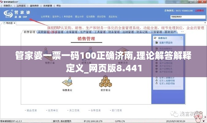 管家婆一票一码100正确济南,理论解答解释定义_网页版8.441