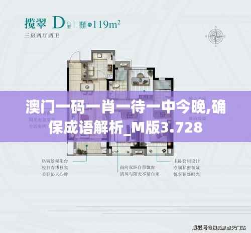 澳门一码一肖一待一中今晚,确保成语解析_M版3.728